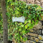 Relaxing In Nyaraló